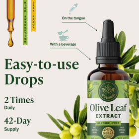 HERBAMAMA Extrait de Feuille d'Olivier 500 mg vue de côté