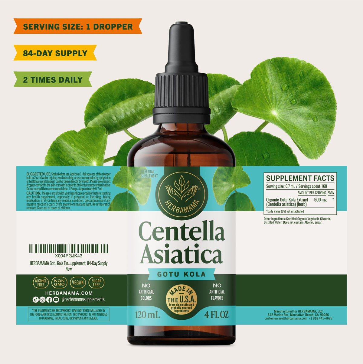 HERBAMAMA Gotu Kola 249g avec des éléments naturels autour