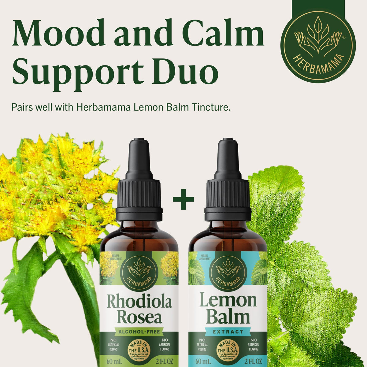 HERBAMAMA Rhodiola Rosea 150g gouttes sur une cuillère