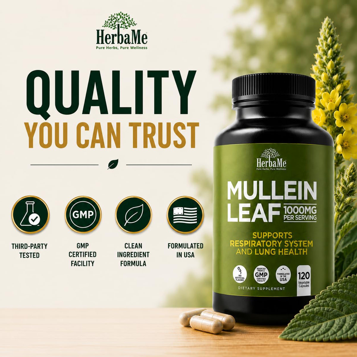 HerbaMe Mullein Leaf 1000mg capsules avec un fond de plantes