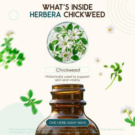HerbEra Extrait Liquide de Cerfeuil Bio 60 ml, vue arrière du flacon