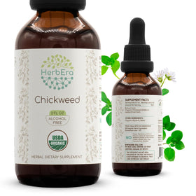 HerbEra Extrait Liquide de Cerfeuil Bio 60 ml, vue avant du flacon