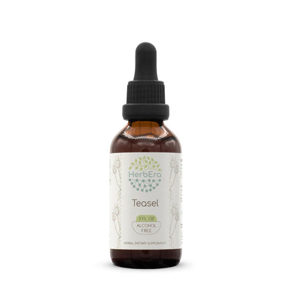 HerbEra extrait liquide sans alcool 120ml vue de face avec étiquette