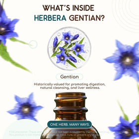 HerbEra Gentiane Bio 60 ml avec ingrédients naturels