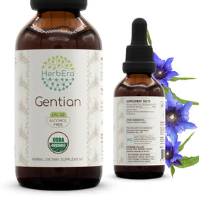 HerbEra Gentiane Bio 60 ml vue avant avec étiquette