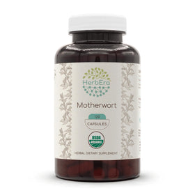 HerbEra Mère de Dieu Bio 120 capsules vue de face