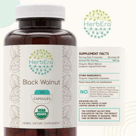 HerbEra noix noire 500 mg affichant la liste des ingrédients