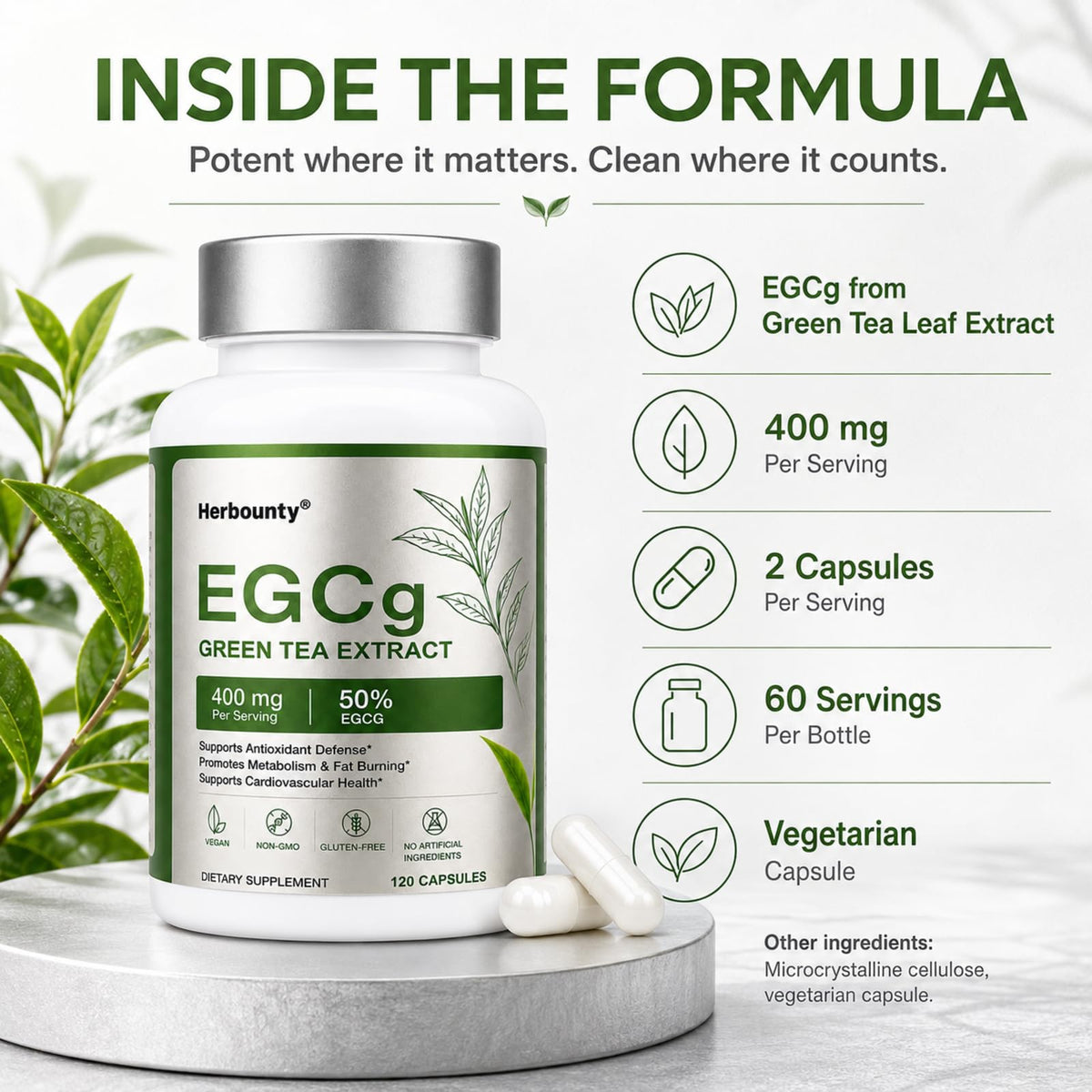 Herbounty extrait de thé vert 50% EGCG capsules avec étiquette