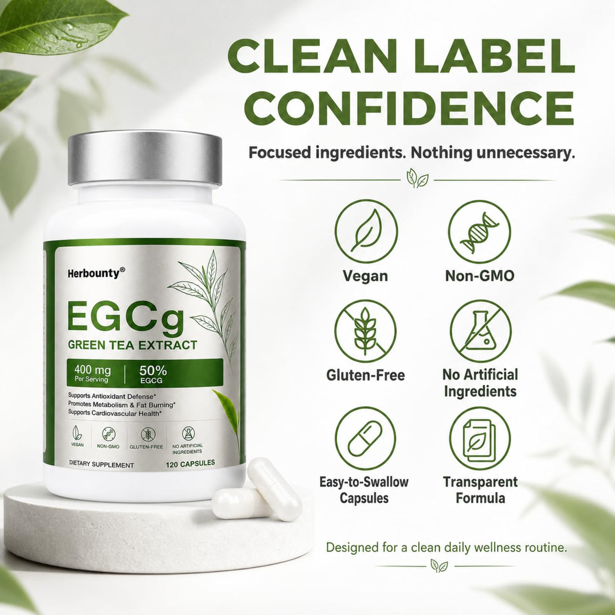 Herbounty extrait de thé vert 50% EGCG capsules en mode de vie actif