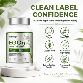 Herbounty extrait de thé vert 50% EGCG capsules en mode de vie actif