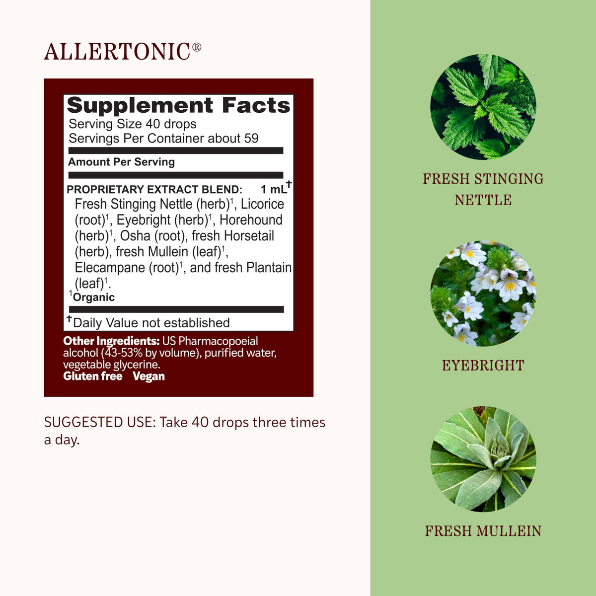 Herbs Etc. Allertonic extrait liquide 2 fl oz gouttes dans une cuillère