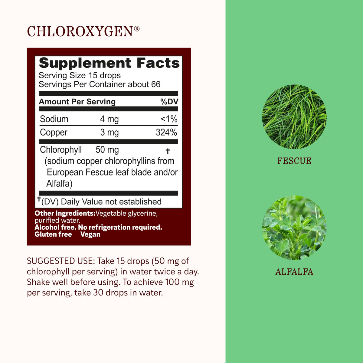 Herbs Etc. ChlorOxygen concentré de chlorophylle, étiquette détaillant les ingrédients