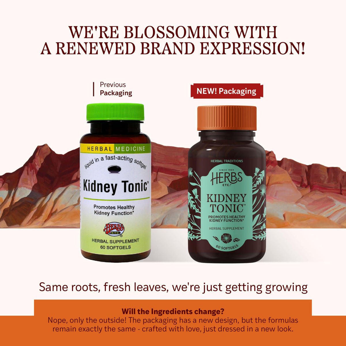 Herbs Etc. Complément Alimentaire Rein Tonic 60 gélules bio, étiquette sur le flacon