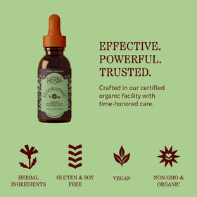 Herbs Etc. Respiratonic Extrait Liquide 60 ml, flacon avec herbes à l'arrière-plan