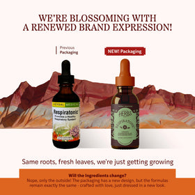 Herbs Etc. Respiratonic Extrait Liquide 60 ml, gouttes dans une cuillère