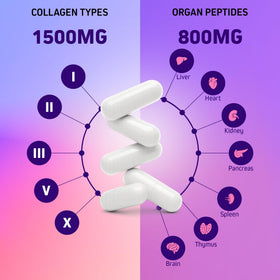 Herbtonics Multi Collagen 90 capsules, en gros plan avec éclairage