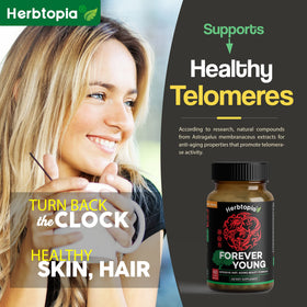 Herbtopia Complément Alimentaire Adaptogène gélules sur un fond naturel