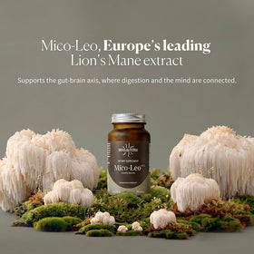 HIFAS DA TERRA Mico-Leo étiquette du pot avec informations nutritionnelles