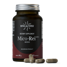 HIFAS DA TERRA Mico-Rei capsules de champignon Reishi bio en pot en verre