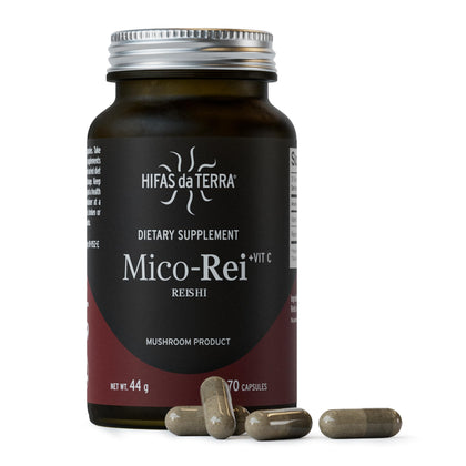 HIFAS DA TERRA Mico-Rei capsules de champignon Reishi bio en pot en verre