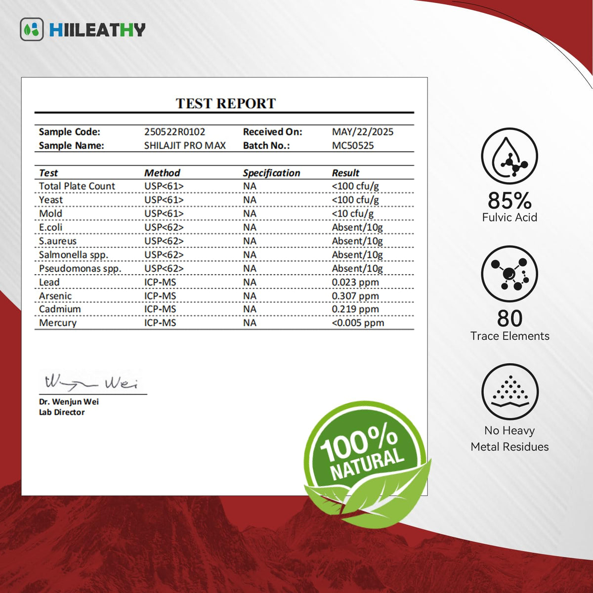 HIILEATHY Shilajit 500mg capsules sur une table
