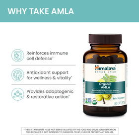 Himalaya Amla Bio 1200 mg 60 comprimés côté