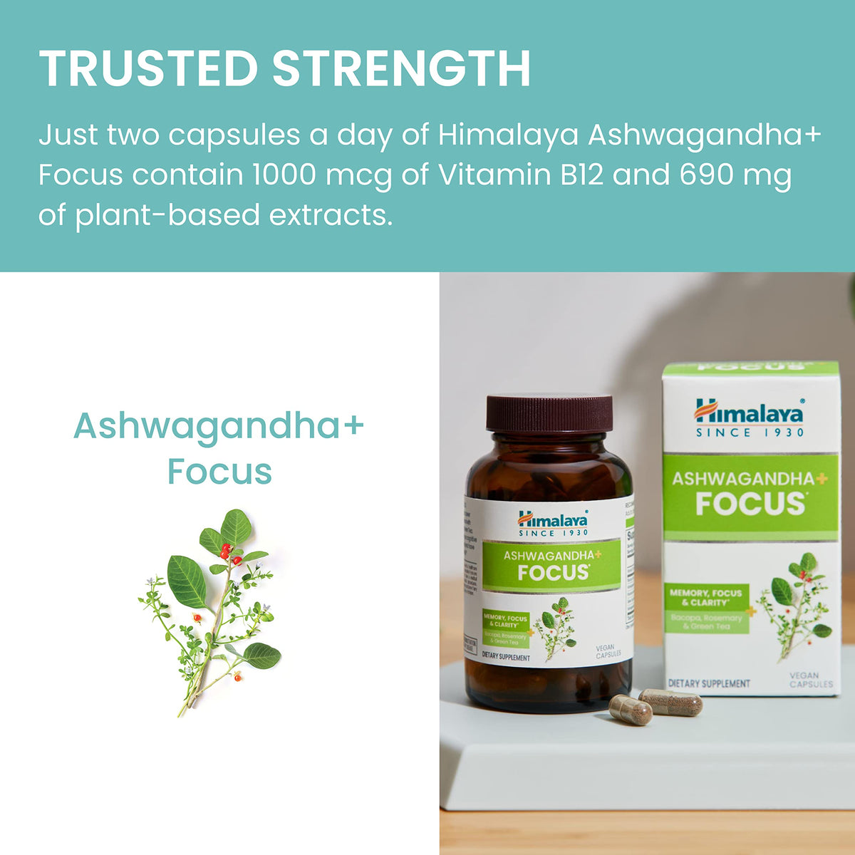 Himalaya Ashwagandha+ Focus 1690 mg affichant les ingrédients principaux
