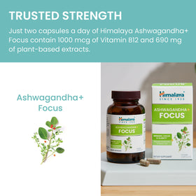 Himalaya Ashwagandha+ Focus 1690 mg affichant les ingrédients principaux