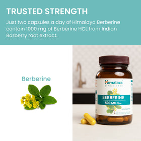 Himalaya Berbérine 1000 mg flacon de 60 capsules sur une table
