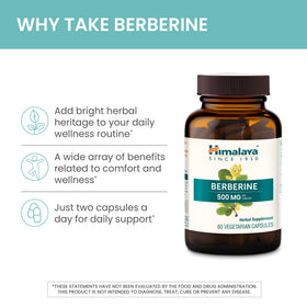 Himalaya Berbérine capsules végétariennes ouvertes montrant le contenu