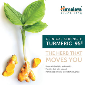 Himalaya Curcuma 95 - capsules sur fond blanc