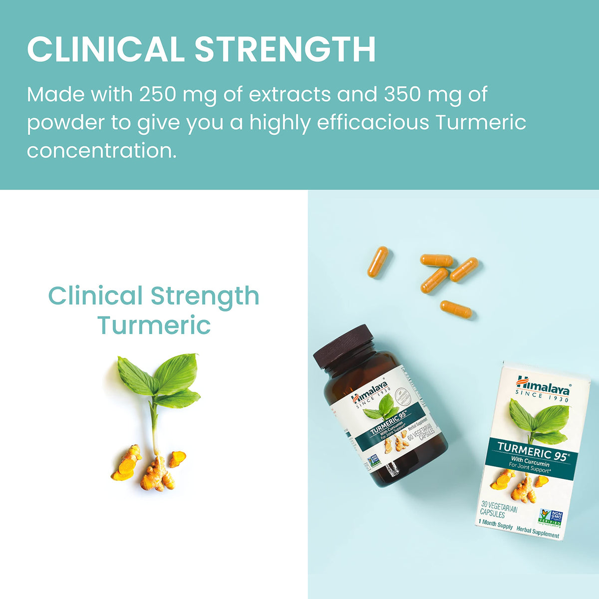 Himalaya Curcuma 95 - étiquette avec ingrédients