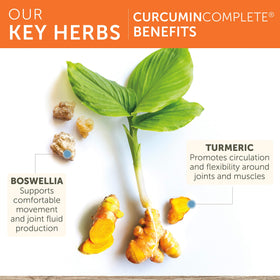 Himalaya Curcumin Complète 60 Capsules en gros plan