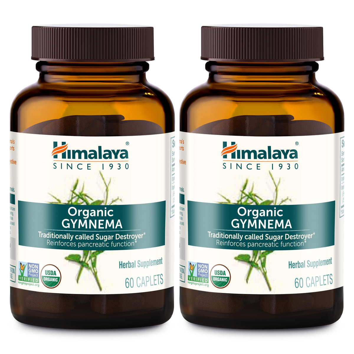 Himalaya Extrait de Gymnema Sylvestre 700mg, 120 comprimés, vue avant