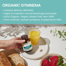 Himalaya Extrait de Gymnema Sylvestre 700mg, ingrédients listés