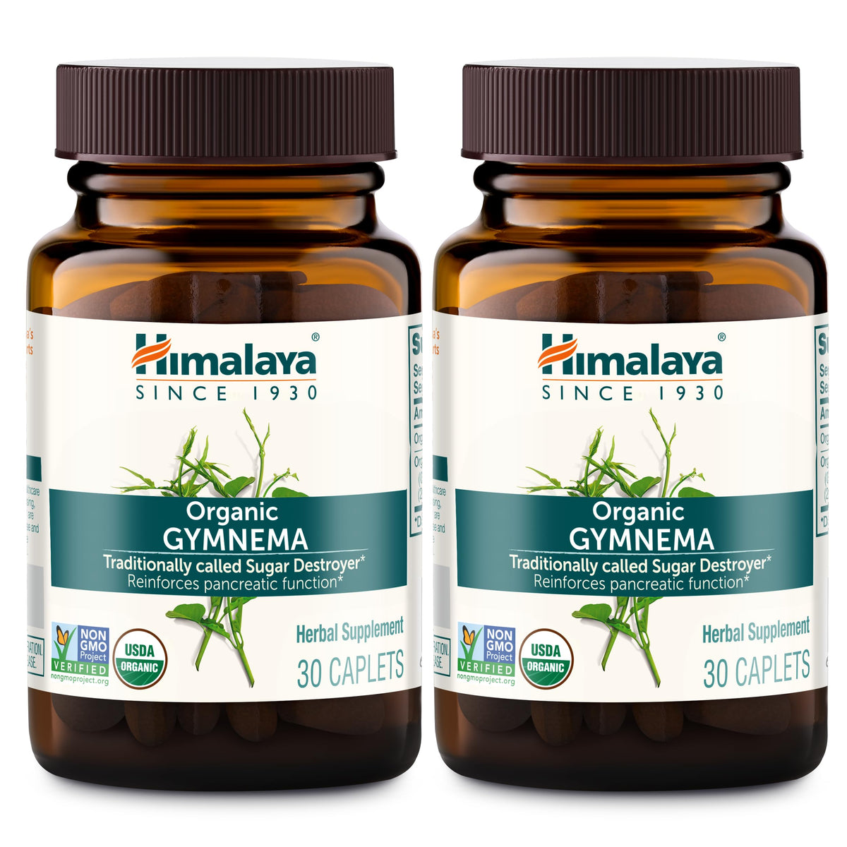 Himalaya Extrait de Gymnema Sylvestre Bio 700 mg 60 comprimés vue de face