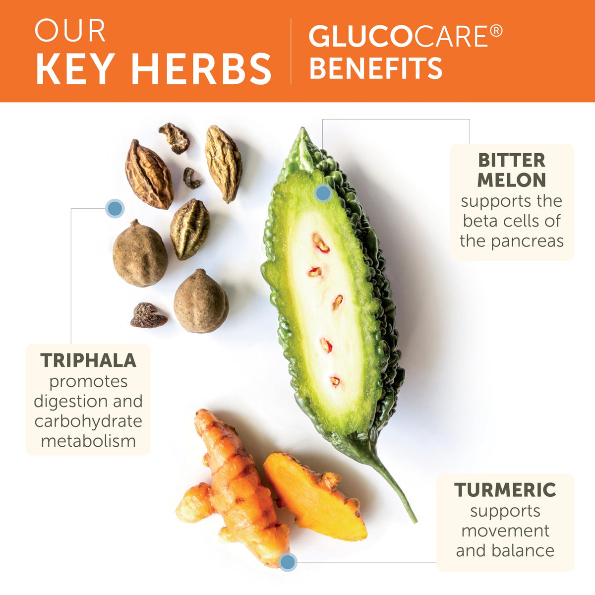 Himalaya GlucoCare dans un environnement de cuisine