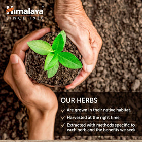 Himalaya GlucoCare ouvert montrant les capsules à l'intérieur