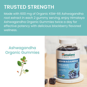 Himalaya Gommes d'Ashwagandha Bio sur une table avec d'autres produits de santé