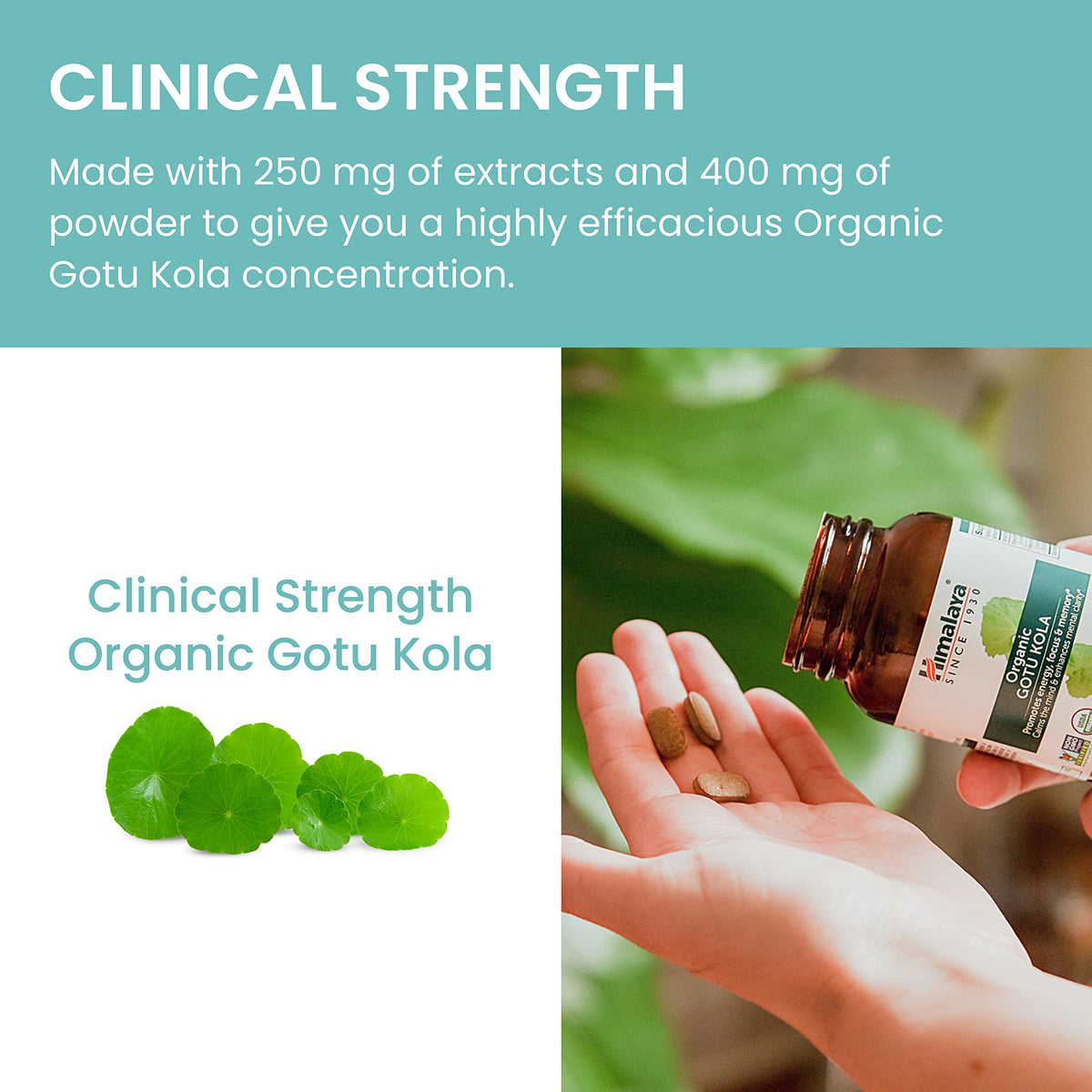 Himalaya Gotu Kola Capsules 650 mg, étiquettes et certifications