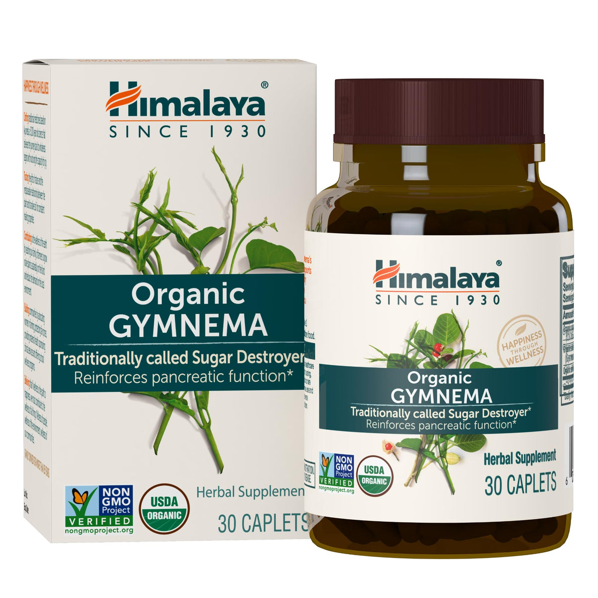 Himalaya Gymnema Sylvestre 700 mg vue de face avec emballage