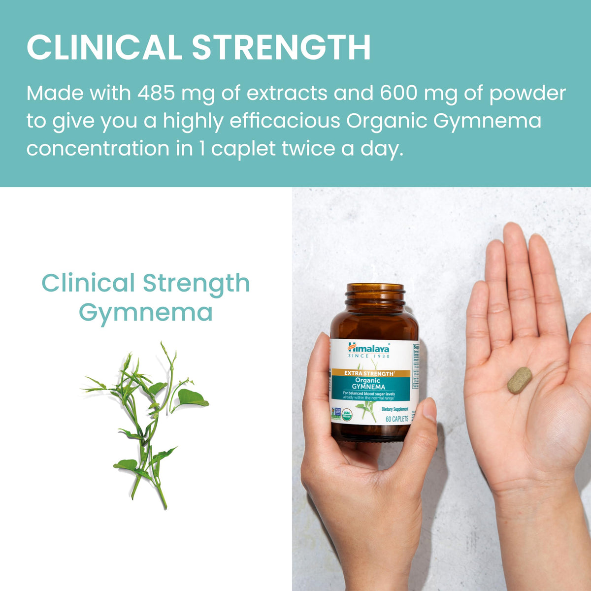 Himalaya Gymnema Sylvestre Extra Strength 1085 mg en main