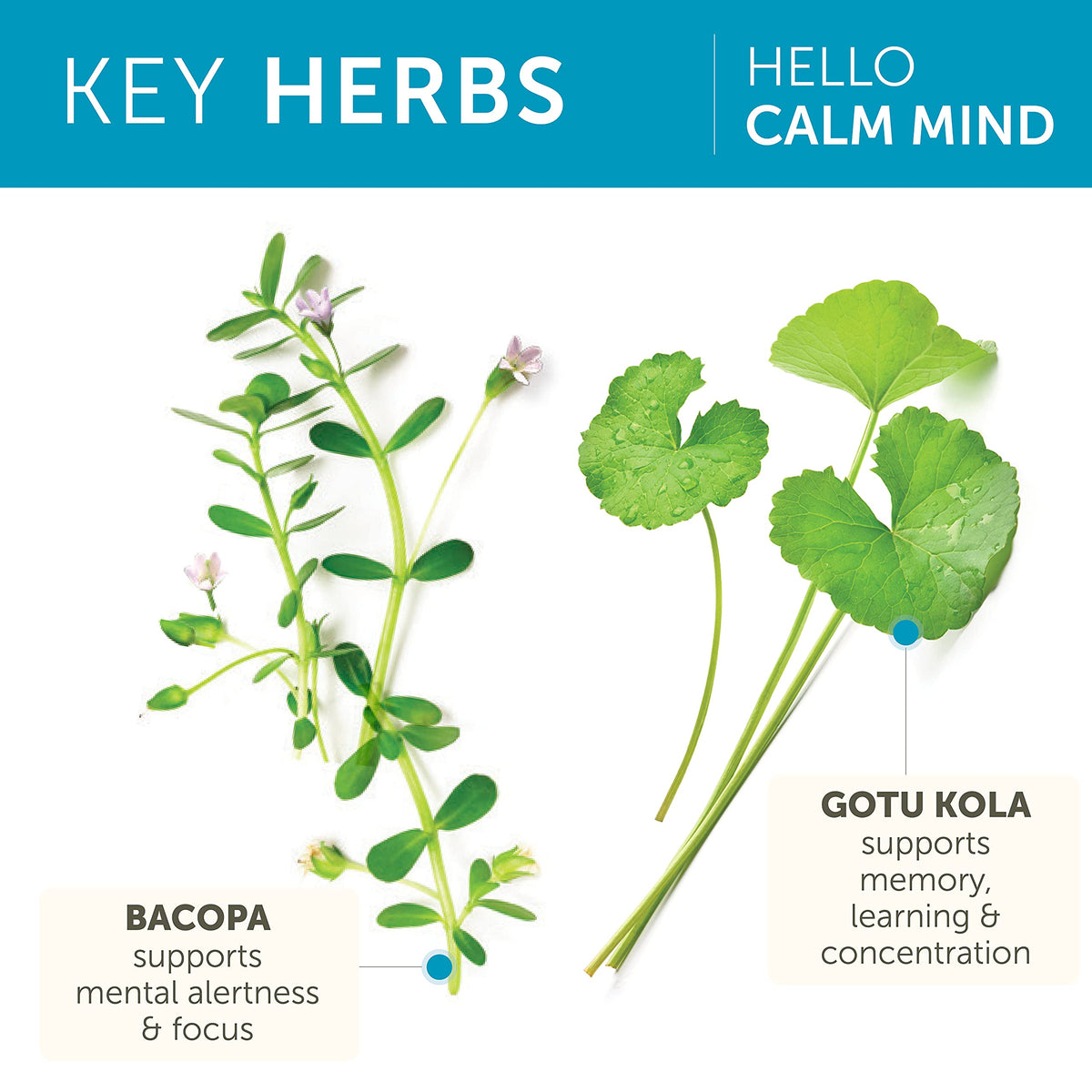 Himalaya Hello Calm Mind ingrédients sur l'étiquette
