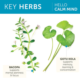 Himalaya Hello Calm Mind ingrédients sur l'étiquette