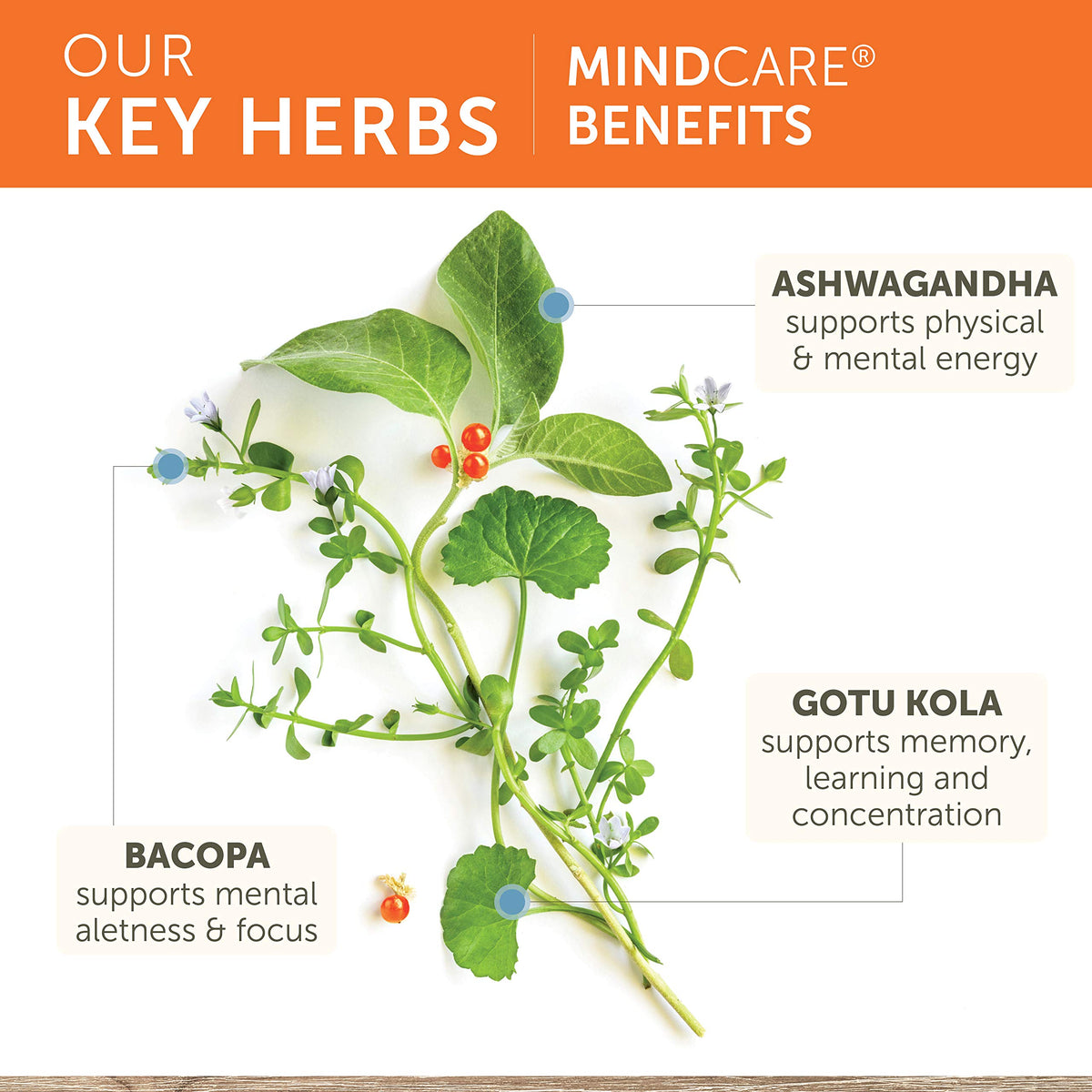 Himalaya MindCare complément cérébral 1170 mg capsules ouvertes
