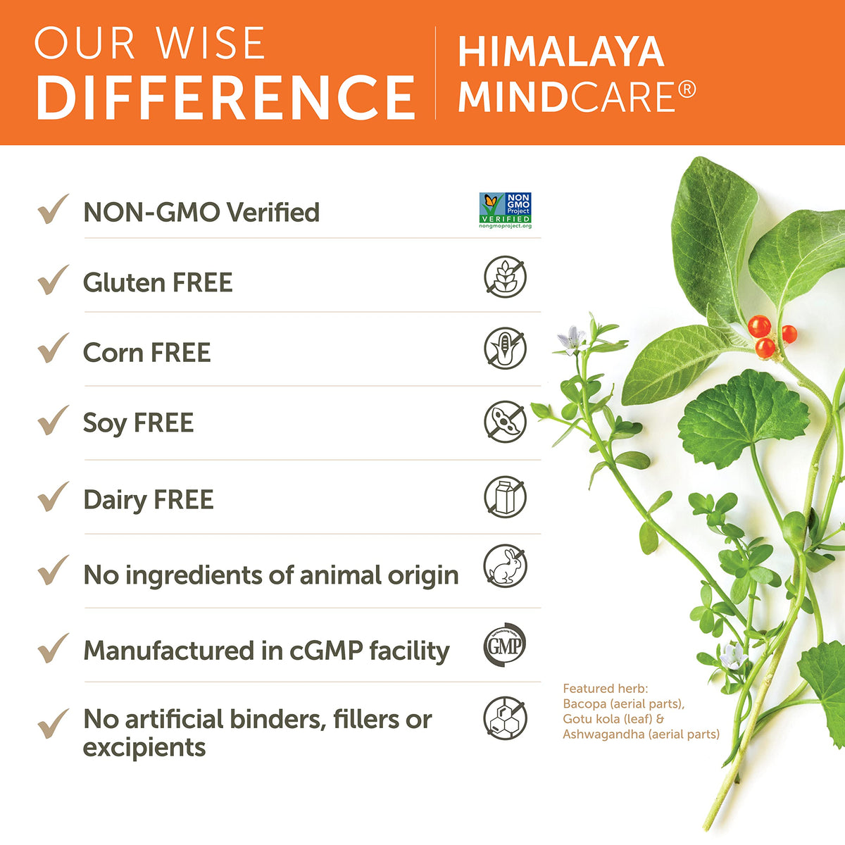 Himalaya MindCare complément cérébral 60 capsules dans un environnement de travail