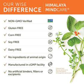 Himalaya MindCare complément cérébral 60 capsules dans un environnement de travail