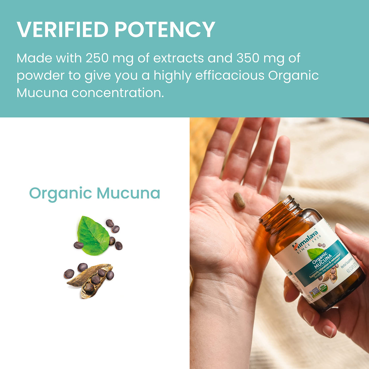 Himalaya Mucuna Pruriens 600mg 60 comprimés végétaux sur fond blanc