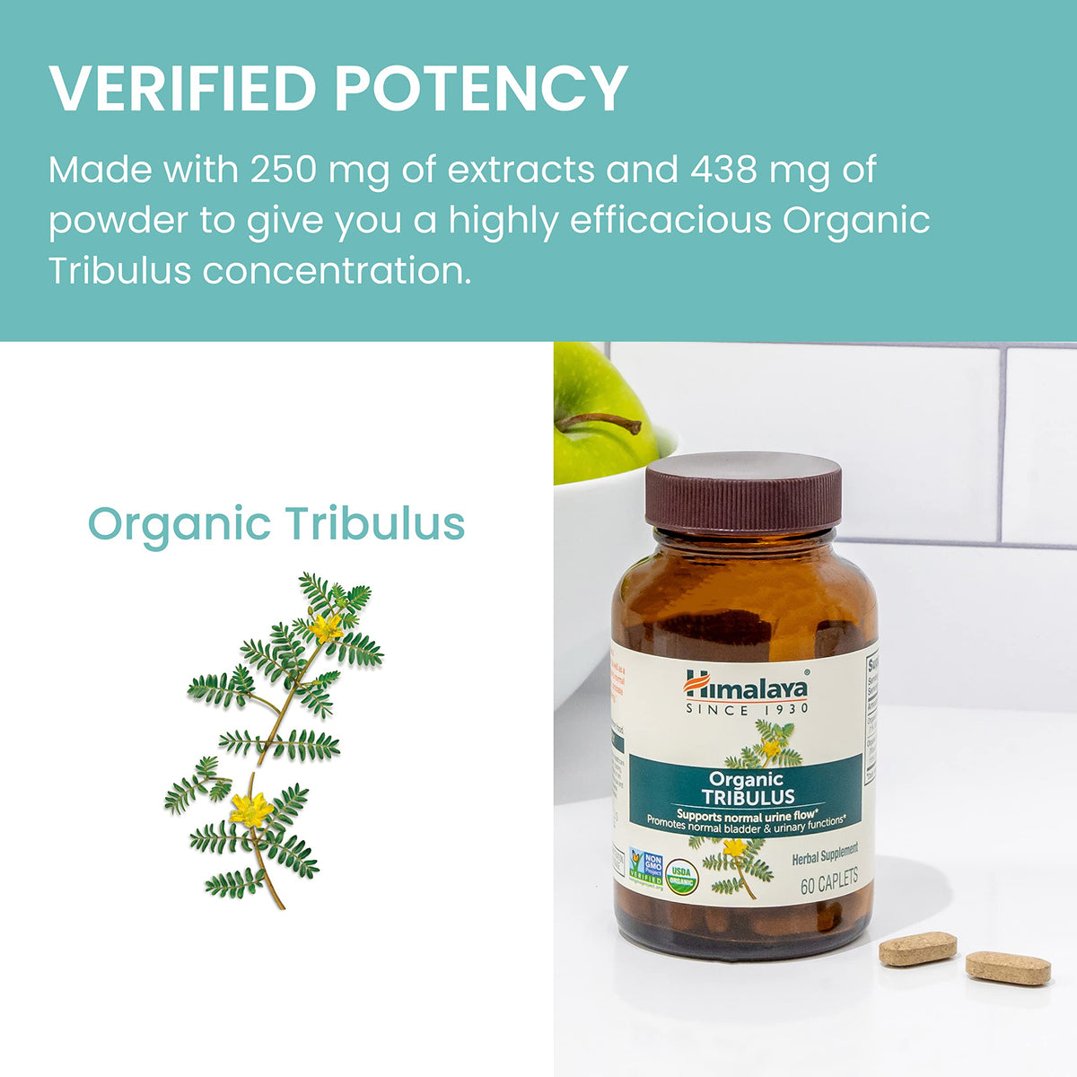 Himalaya Organic Tribulus Terrestris 688 mg flacon ouvert avec capsules