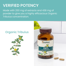 Himalaya Organic Tribulus Terrestris 688 mg flacon ouvert avec capsules